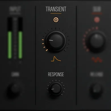 Transient module